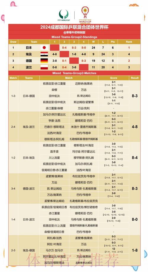 2024世界杯最新赛果预测与深度解析